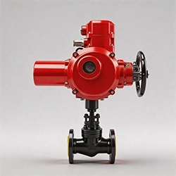 Electric Actuated Globe Valve